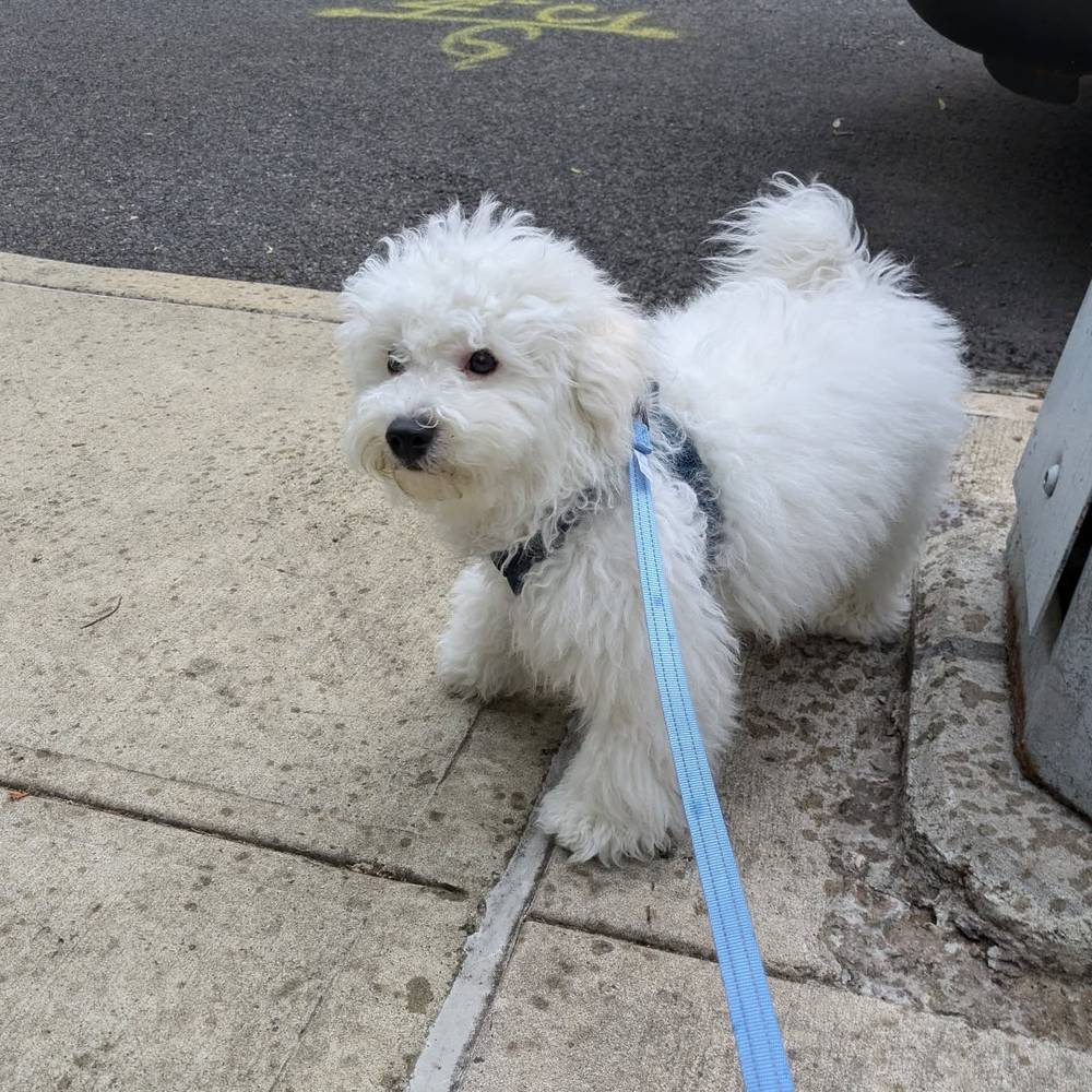 I went on a solo walk yesterday, but it started raining. I don't think I like rain 😒, photo 1 of 1