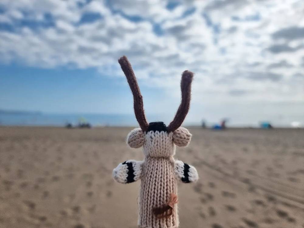 A small knitted toy figure with antler-like arms standing upright on a sandy beach.