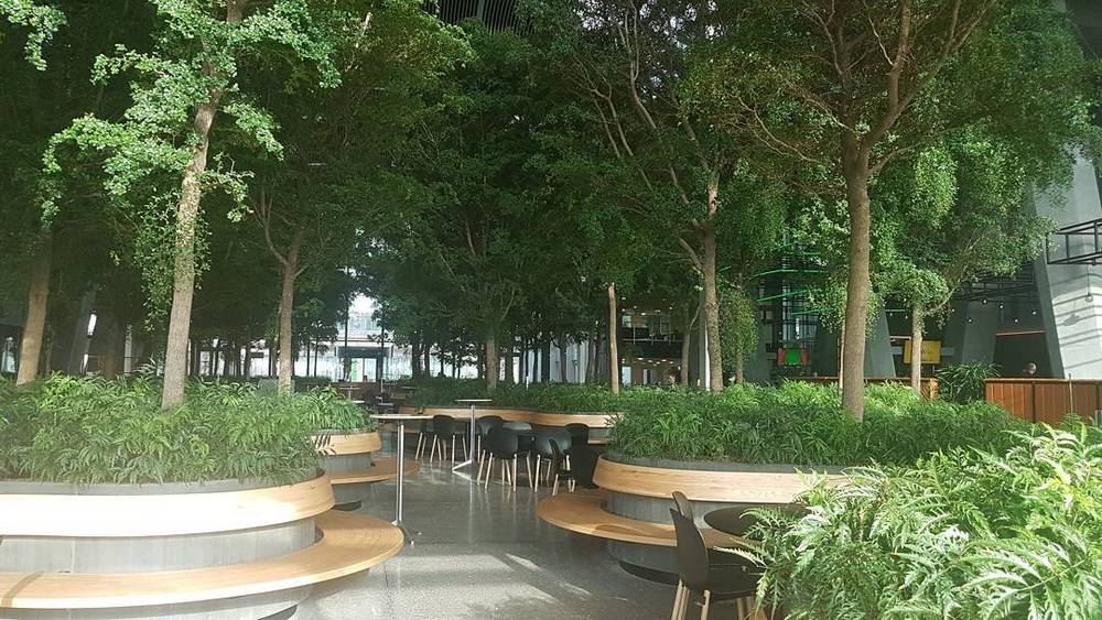 Curved wooden seating benches beneath trees in an urban park setting.