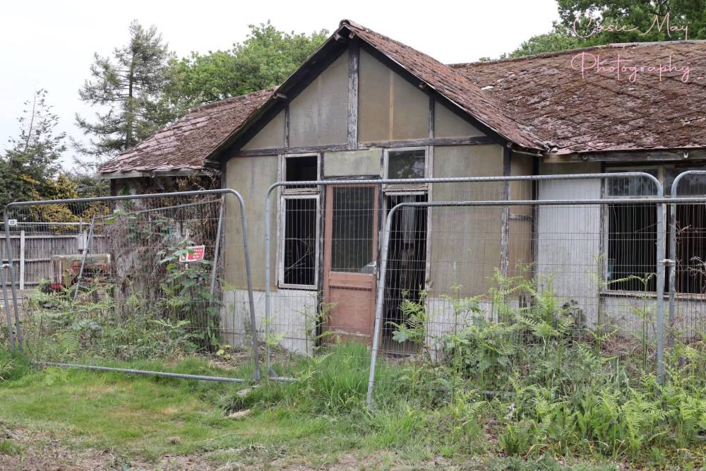 Abandoned, Abandoned, Abandoned