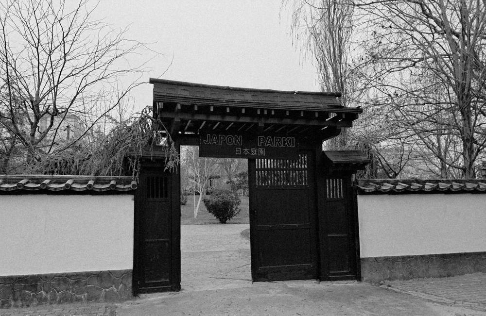 The gate